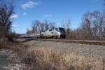 Amtrak 103 leading train 42